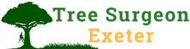 Tree Surgeon Exeter